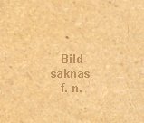 saknas.jpg (4260 bytes)